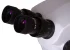 Микроскоп Levenhuk ZOOM 1B, бинокулярный