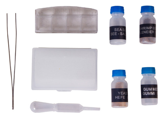 Микроскоп Bresser National Geographic 40–1280x Микроскоп Bresser National Geographic 40–1280x