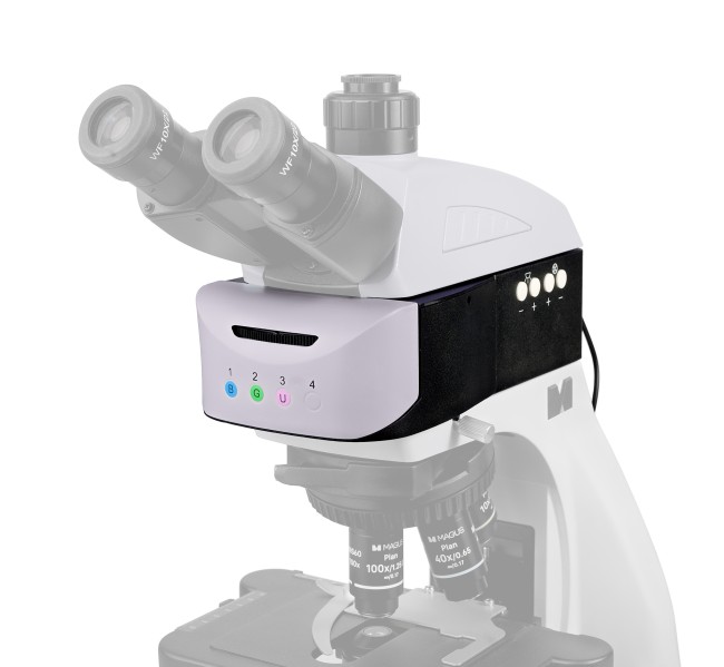 Насадка эпи-люминесцентная моторизованная MAGUS Epi-FL04M LED, блоки люминесцентных фильтров B/G/UV Насадка эпи-люминесцентная моторизованная MAGUS Epi-FL04M LED, блоки люминесцентных фильтров B/G/UV