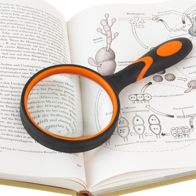 Лупа Veber с ручкой 75 (4х, 75мм) Лупа Veber с ручкой 75 (4х, 75мм)