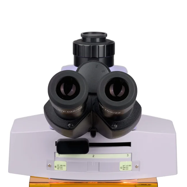 Микроскоп люминесцентный MAGUS Lum 450L Микроскоп люминесцентный MAGUS Lum 450L