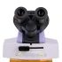 Микроскоп люминесцентный MAGUS Lum 450L Микроскоп люминесцентный MAGUS Lum 450L