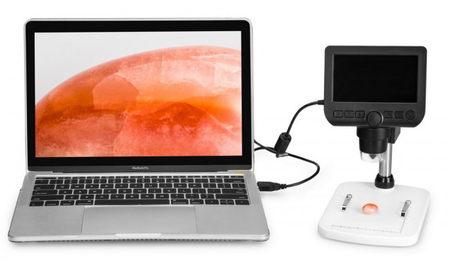 Микроскоп цифровой Levenhuk DTX 350 LCD Микроскоп цифровой Levenhuk DTX 350 LCD