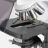 Микроскоп Микромед 3 (вариант ЛЮМ 4 Е LED) тринокулярный