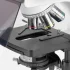 Микроскоп Микромед 3 (вариант ЛЮМ 4 Е LED) тринокулярный Микроскоп Микромед 3 (вариант ЛЮМ 4 Е LED) тринокулярный