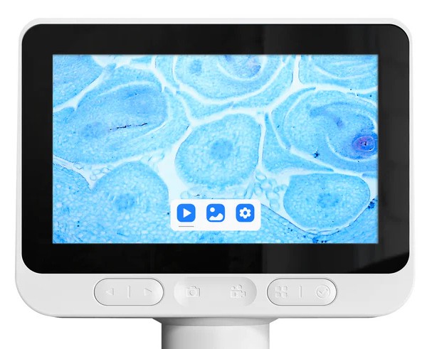 Цифровой микроскоп BeaverLAB M2B (Standard)