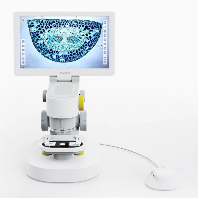 Цифровой микроскоп BeaverLAB MX