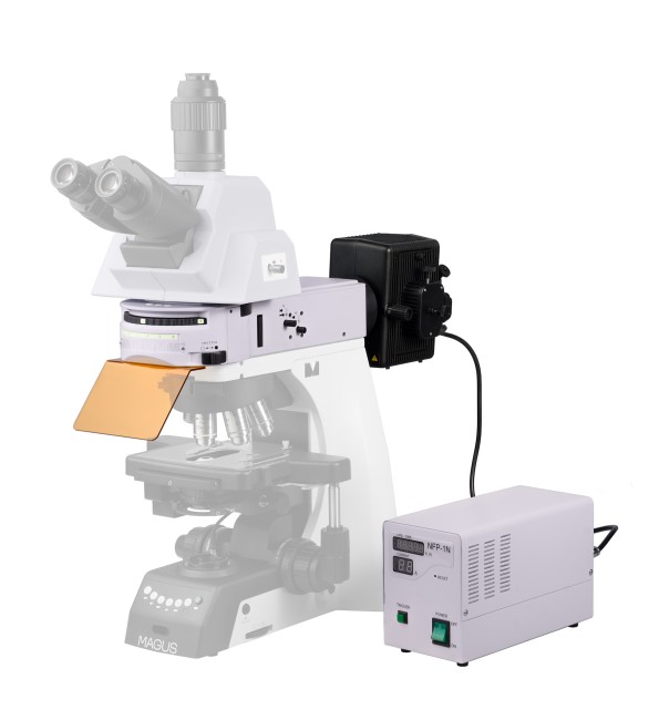 Насадка эпи-люминесцентная MAGUS Epi-FL06, ртутная лампа, блоки люминесцентных фильтров В/G/UV/V/R/F Насадка эпи-люминесцентная MAGUS Epi-FL06, ртутная лампа, блоки люминесцентных фильтров В/G/UV/V/R/F