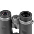 Бинокль Veber Silver Line II 8x42WP