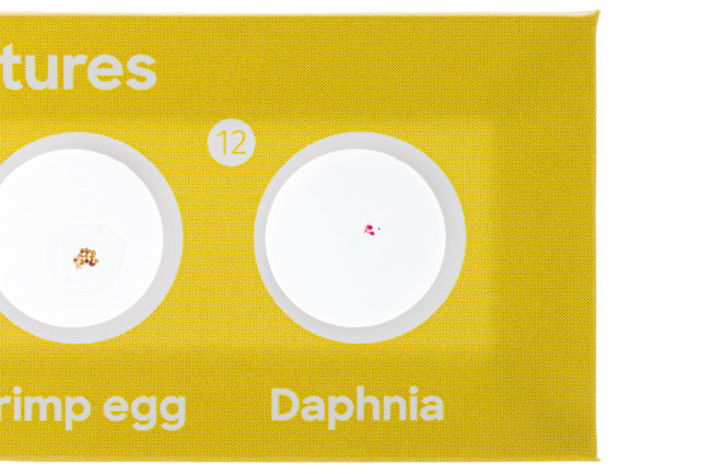 Набор микропрепаратов Discovery «Фауна», 12 шт. Набор микропрепаратов Discovery «Фауна», 12 шт.