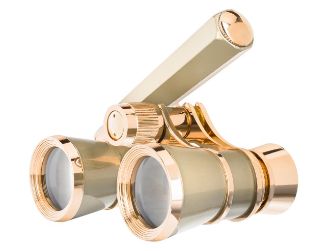 Театральный бинокль-лорнет Levenhuk Broadway 325E, золотистый Театральный бинокль-лорнет Levenhuk Broadway 325E, золотистый