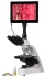 Микроскоп цифровой Levenhuk MED D10T LCD, тринокулярный Микроскоп цифровой Levenhuk MED D10T LCD, тринокулярный