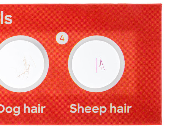 Набор микропрепаратов Discovery «Флора и фауна», 24 шт.