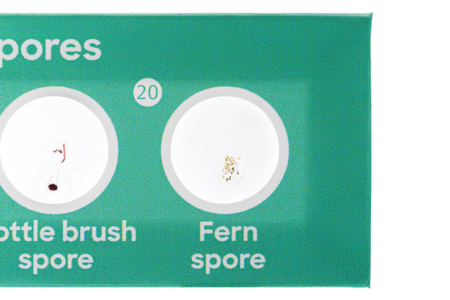 Набор микропрепаратов Discovery «Флора и фауна», 24 шт.