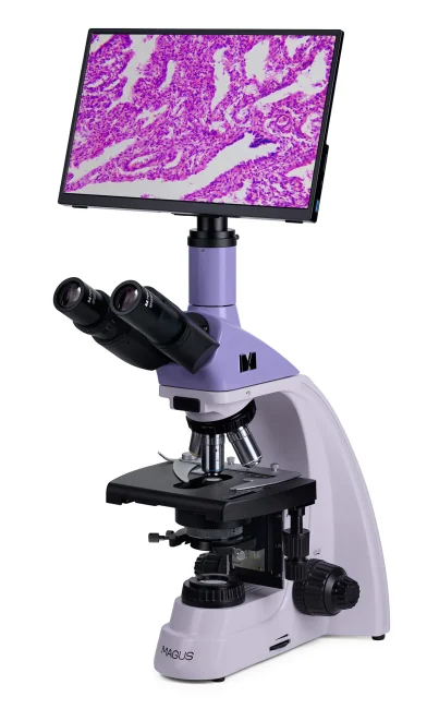 Микроскоп биологический цифровой MAGUS Bio D250T LCD Микроскоп биологический цифровой MAGUS Bio D250T LCD