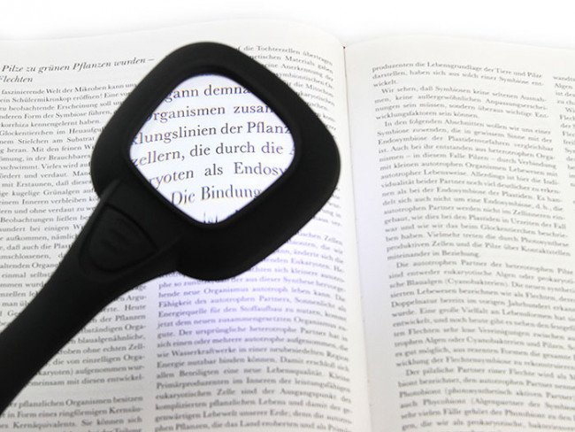 Лупа с ручкой и подсветкой Veber 600558, 3x, 52x52 мм Лупа с ручкой и подсветкой Veber 600558, 3x, 52x52 мм