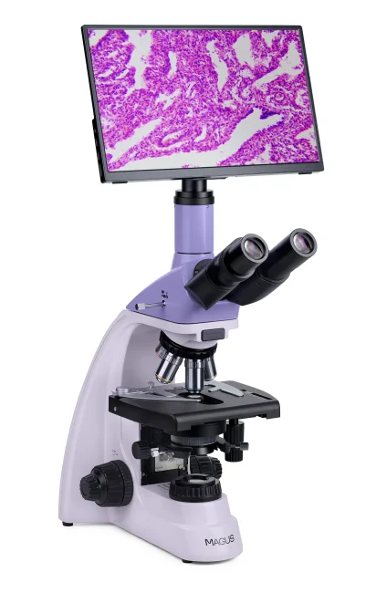 Микроскоп биологический цифровой MAGUS Bio D250TL LCD Микроскоп биологический цифровой MAGUS Bio D250TL LCD