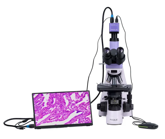 Микроскоп биологический цифровой MAGUS Bio D250TL LCD Микроскоп биологический цифровой MAGUS Bio D250TL LCD