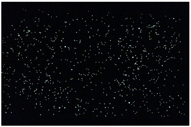 Карта звёздного неба (светящаяся в темноте, тубус)