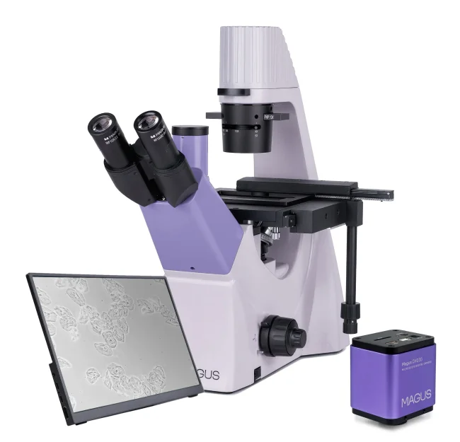 Микроскоп биологический инвертированный цифровой MAGUS Bio VD300 LCD Микроскоп биологический инвертированный цифровой MAGUS Bio VD300 LCD