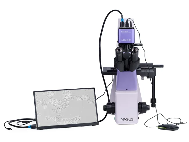 Микроскоп биологический инвертированный цифровой MAGUS Bio VD300 LCD Микроскоп биологический инвертированный цифровой MAGUS Bio VD300 LCD