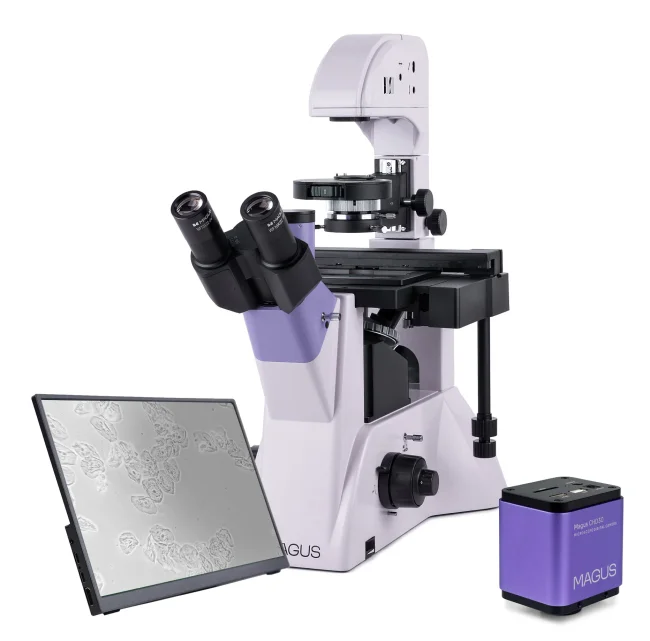 Микроскоп биологический инвертированный цифровой MAGUS Bio VD350 LCD Микроскоп биологический инвертированный цифровой MAGUS Bio VD350 LCD