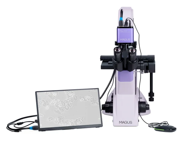 Микроскоп биологический инвертированный цифровой MAGUS Bio VD350 LCD Микроскоп биологический инвертированный цифровой MAGUS Bio VD350 LCD