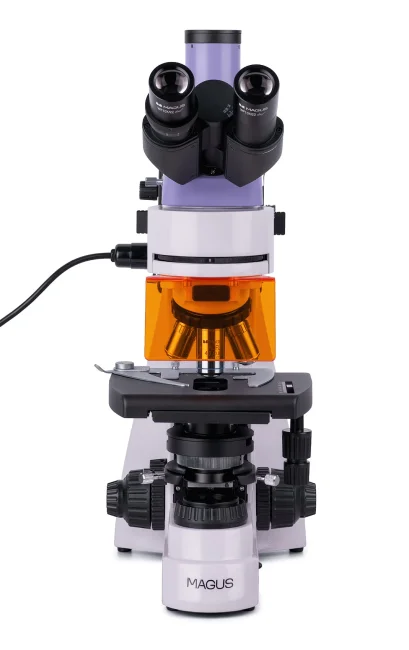 Микроскоп люминесцентный цифровой MAGUS Lum D400 LCD