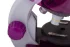 Микроскоп Levenhuk LabZZ M101 Amethyst\Аметист Микроскоп Levenhuk LabZZ M101 Amethyst\Аметист