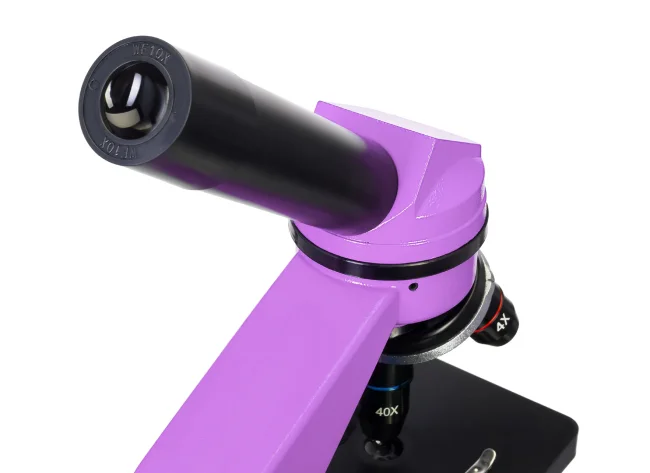 Микроскоп Levenhuk Rainbow 2L Amethyst\Аметист Микроскоп Levenhuk Rainbow 2L Amethyst\Аметист