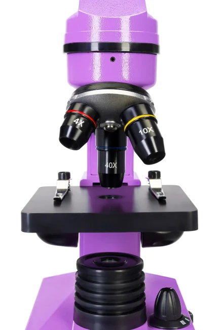 Микроскоп Levenhuk Rainbow 2L Amethyst\Аметист Микроскоп Levenhuk Rainbow 2L Amethyst\Аметист