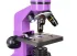 Микроскоп Levenhuk Rainbow 2L Amethyst\Аметист Микроскоп Levenhuk Rainbow 2L Amethyst\Аметист