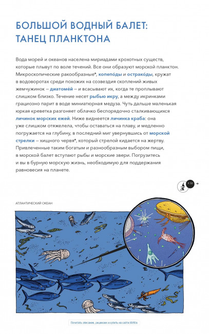 Живой мир под микроскопом