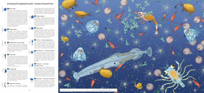 Живой мир под микроскопом