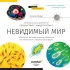 Микроскоп Discovery Micro Gravity с книгой Микроскоп Discovery Micro Gravity с книгой