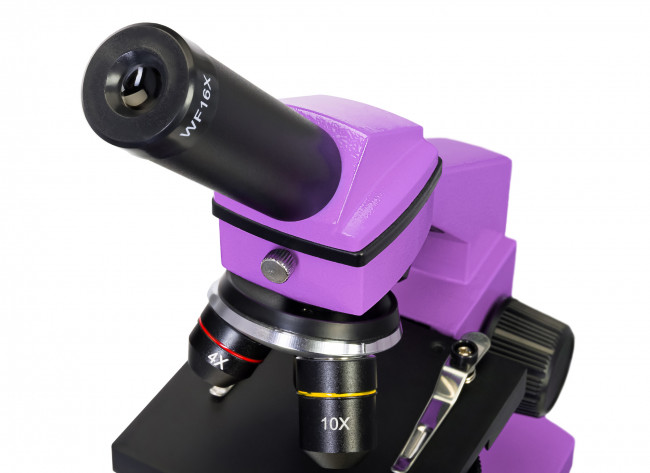 Микроскоп Levenhuk Rainbow 2L PLUS Amethyst\Аметист Микроскоп Levenhuk Rainbow 2L PLUS Amethyst\Аметист