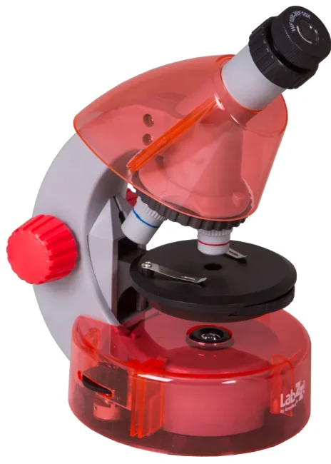 Набор Levenhuk LabZZ MV1 Orange: микроскоп и книга Набор Levenhuk LabZZ MV1 Orange: микроскоп и книга