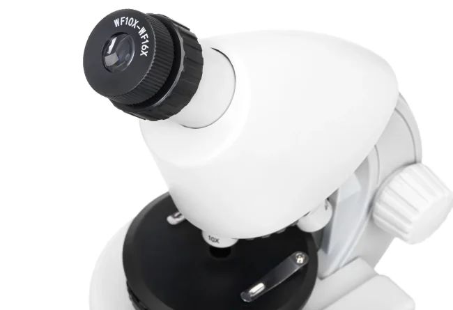 Микроскоп Discovery Micro Polar с книгой Микроскоп Discovery Micro Polar с книгой