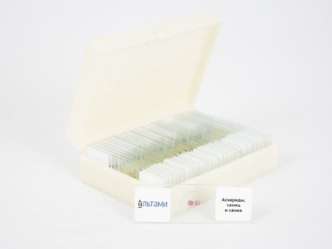 Набор микропрепаратов Альтами "Зоология" (30 стекол) Набор микропрепаратов Альтами "Зоология" (30 стекол)