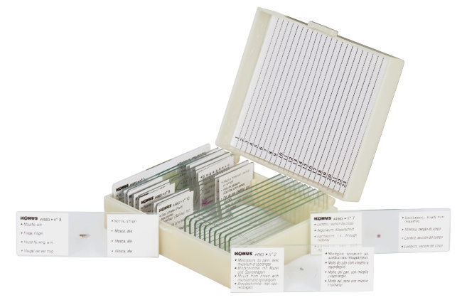 Набор микропрепаратов Konus 10: «Биология» (часть 1) Набор микропрепаратов Konus 10: «Биология» (часть 1)