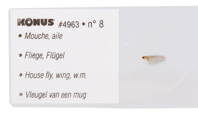 Набор микропрепаратов Konus 10: «Биология» (часть 1) Набор микропрепаратов Konus 10: «Биология» (часть 1)