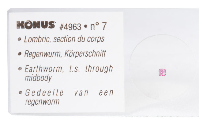 Набор микропрепаратов Konus 10: «Биология» (часть 1) Набор микропрепаратов Konus 10: «Биология» (часть 1)