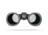 Бинокль Carl Zeiss Victory 10x42 SF