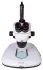 Микроскоп Levenhuk ZOOM 1T, тринокулярный