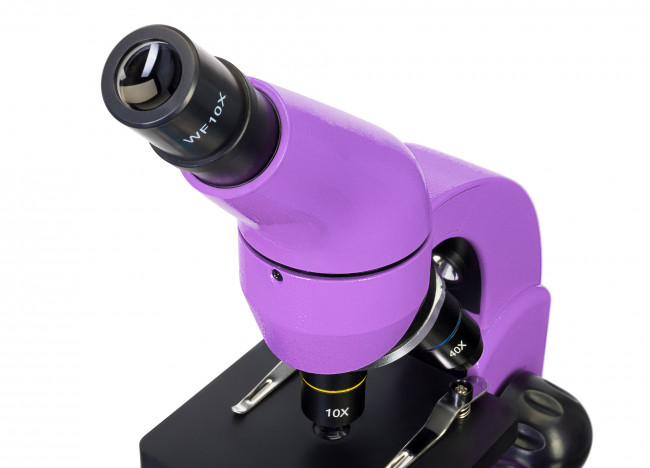 Микроскоп Levenhuk Rainbow 50L Amethyst\Аметист Микроскоп Levenhuk Rainbow 50L Amethyst\Аметист