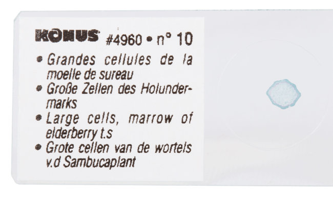 Набор микропрепаратов Konus 10: «Естественные науки» Набор микропрепаратов Konus 10: «Естественные науки»