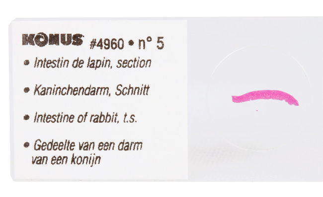 Набор микропрепаратов Konus 10: «Естественные науки» Набор микропрепаратов Konus 10: «Естественные науки»