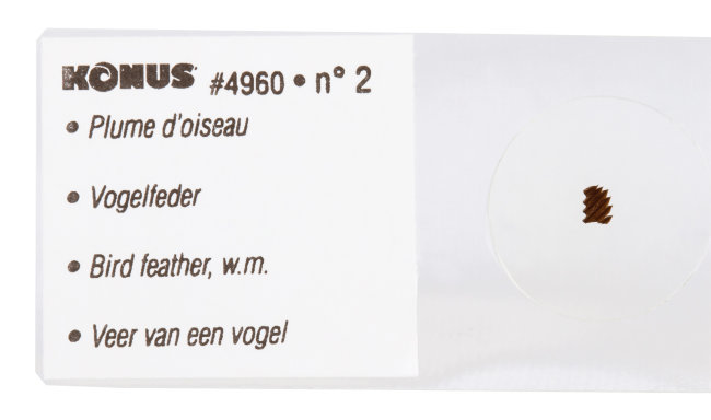 Набор микропрепаратов Konus 10: «Естественные науки» Набор микропрепаратов Konus 10: «Естественные науки»