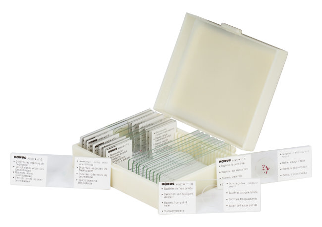 Набор микропрепаратов Konus 10: «Потрясающий мир в капле воды» Набор микропрепаратов Konus 10: «Потрясающий мир в капле воды»