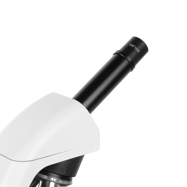 Микроскоп школьный Микромед Эврика 40х-1600х (вар. 3) Микроскоп школьный Микромед Эврика 40х-1600х (вар. 3)